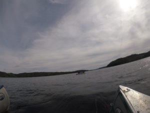 DCIM101GOPROGOPR2205.JPG